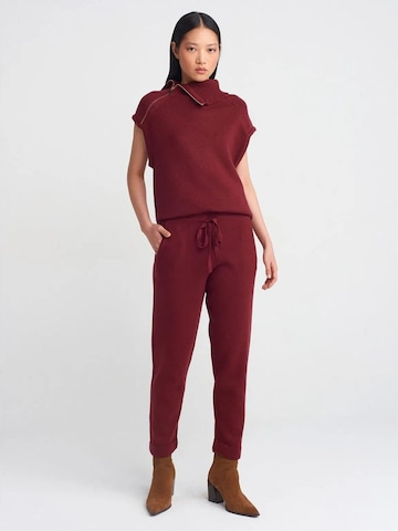 Dilvin Regular Pants 'Hose' in Red: front