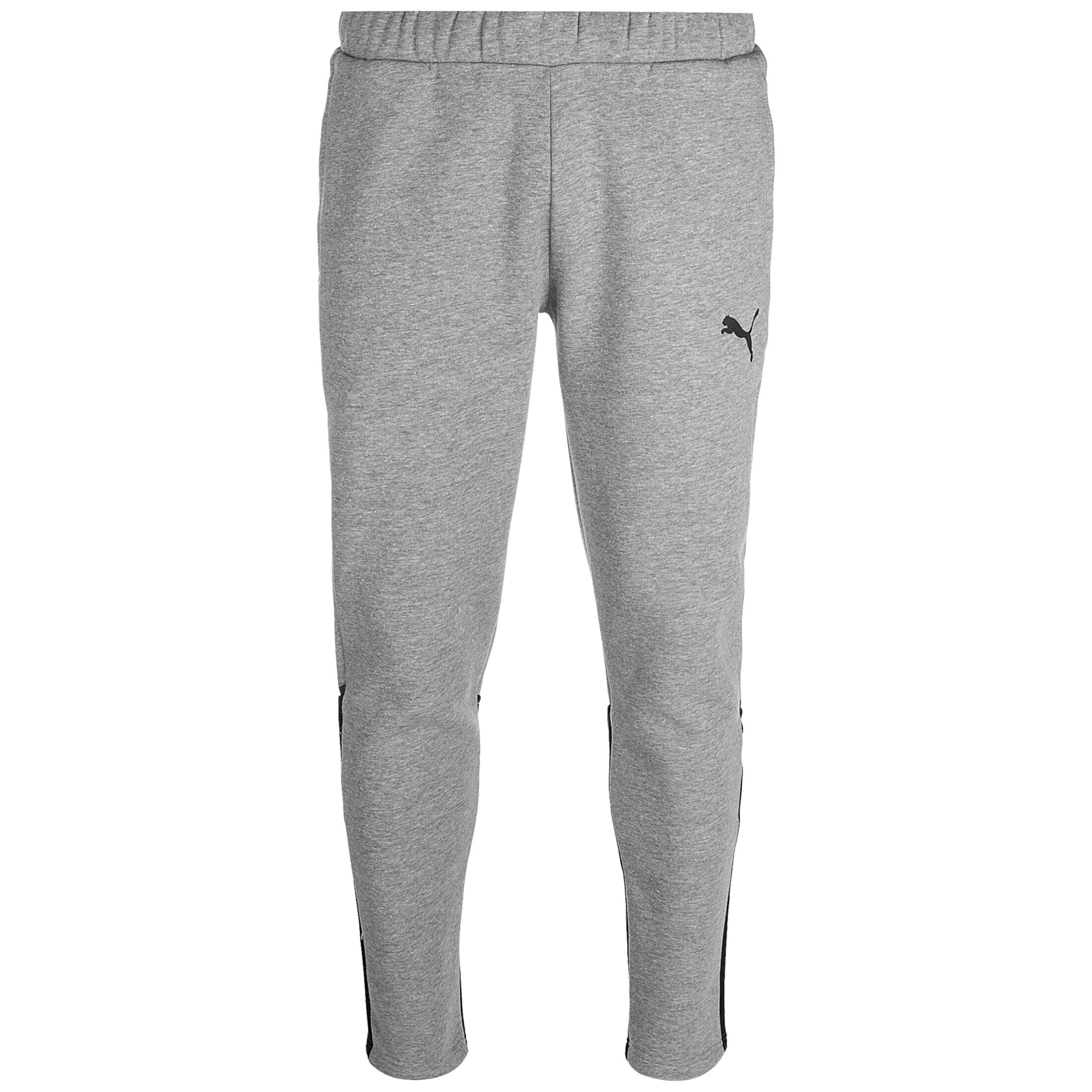 Tapered Pantaloni sportivi 'Team Cup' di PUMA in grigio: frontale
