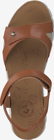 PANAMA JACK Sandals 'Sulia' in Brown