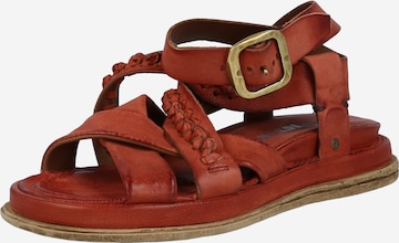 A.S.98 Sandals 'Pola21' in Brown: front
