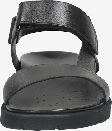 GEOX Slippers in Black