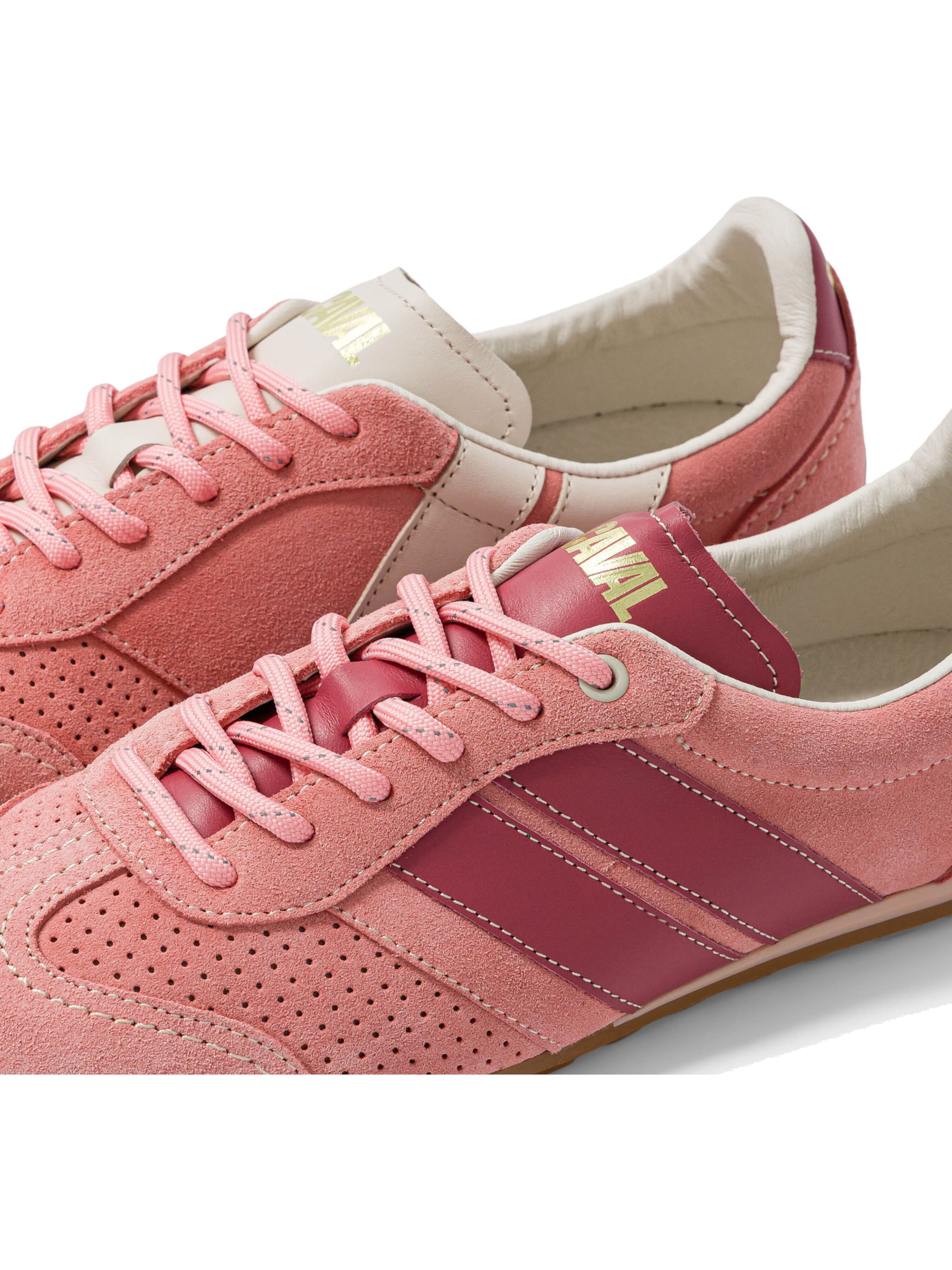 Scarpa stringata ' BALLET ' di Caval in rosa
