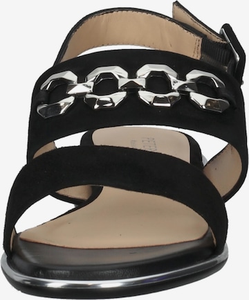 PETER KAISER Sandals in Black