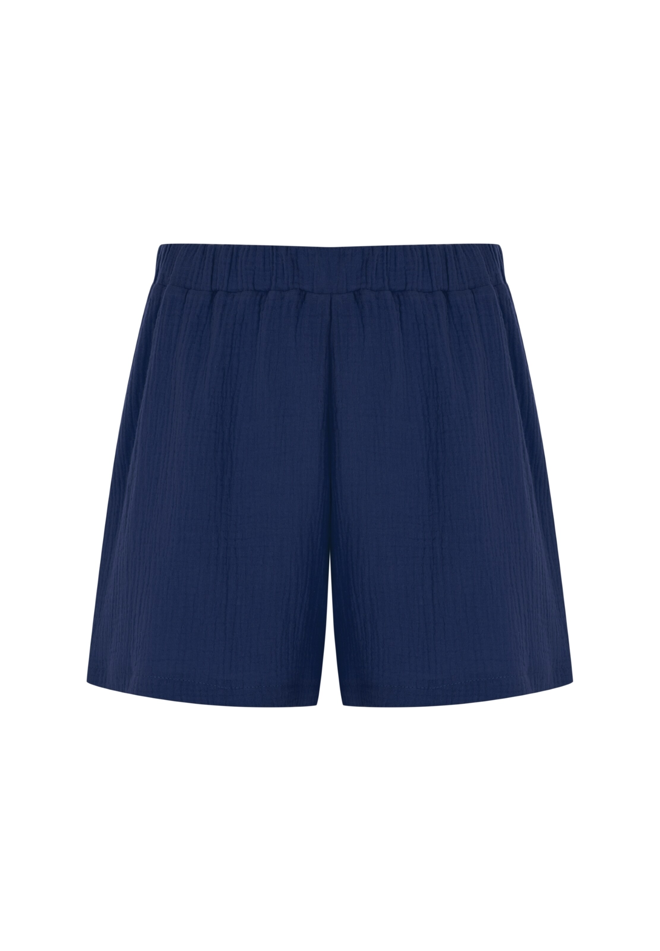 FRESHLIONS Regular Broek in Blauw: voorkant