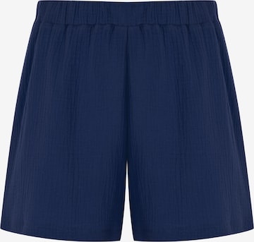 FRESHLIONS Shorts in Blau: Vorderseite