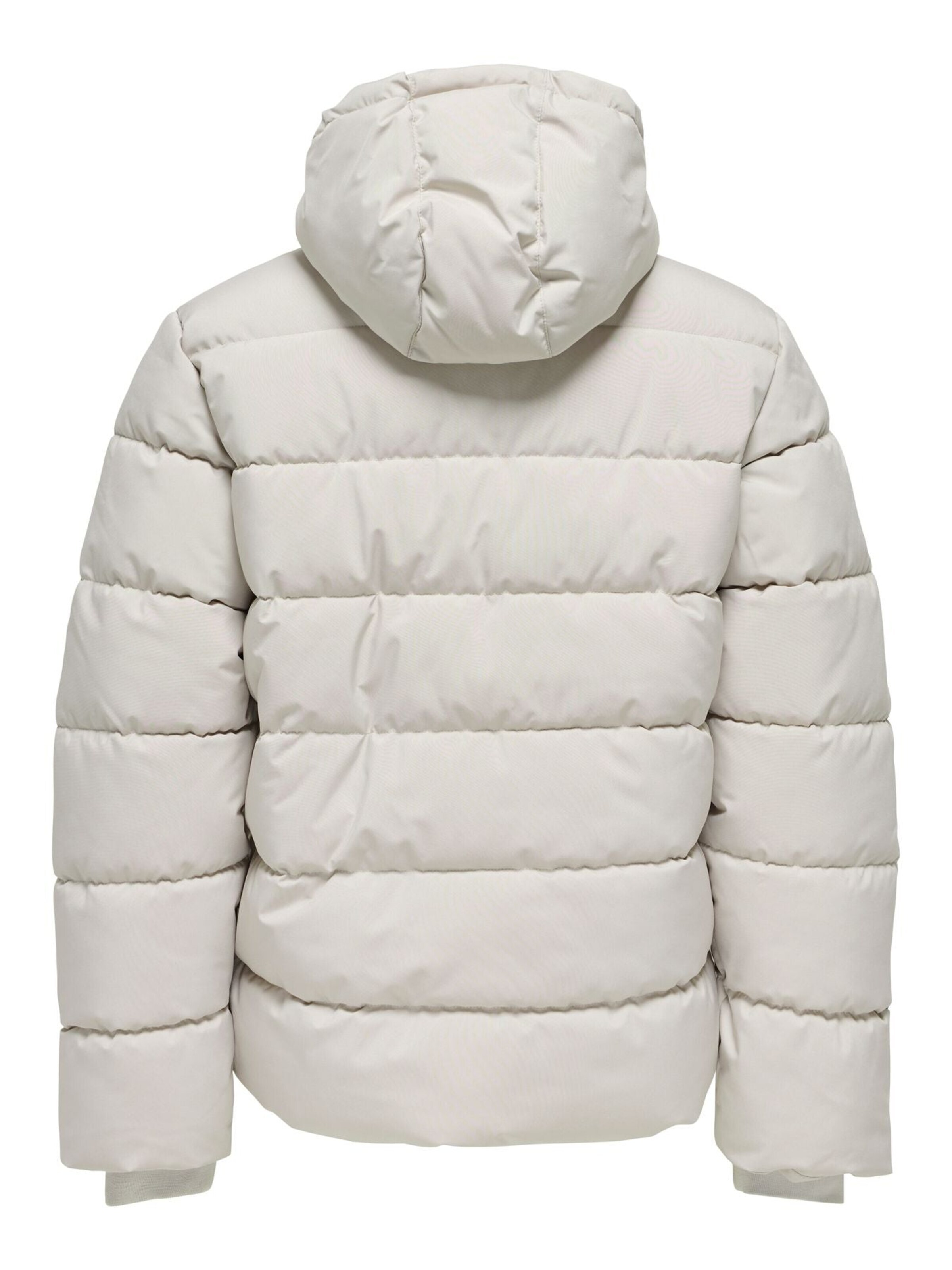 Only & Sons Winter jacket '22030170' in Beige