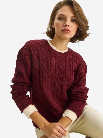 Pull-over 'Pullover' Bianco Lucci en rouge