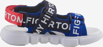 Calzatura aperta di TOMMY HILFIGER in blu