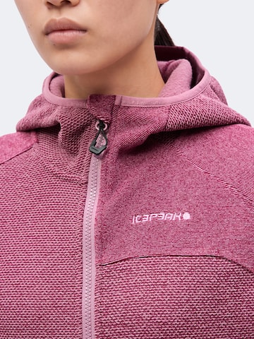 ICEPEAK Bluza polarowa funkcyjna 'BRADGATE' w kolorze fioletowy