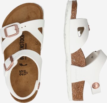 BIRKENSTOCK Босоножки 'Rio' в Белый