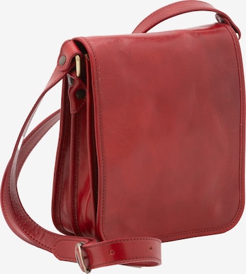 Borsa a tracolla di Viola Castellani in rosso: frontale