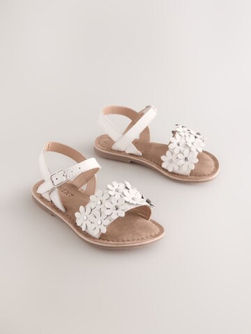 Next - Sandalias en blanco