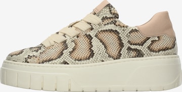 balta GABOR Sportbačiai be auliuko: priekis