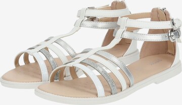 GEOX Sandalen in Wit