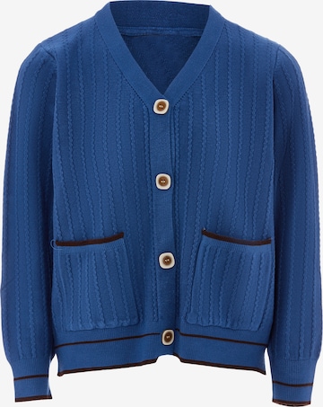 NALLY Knit Cardigan in Blue: front