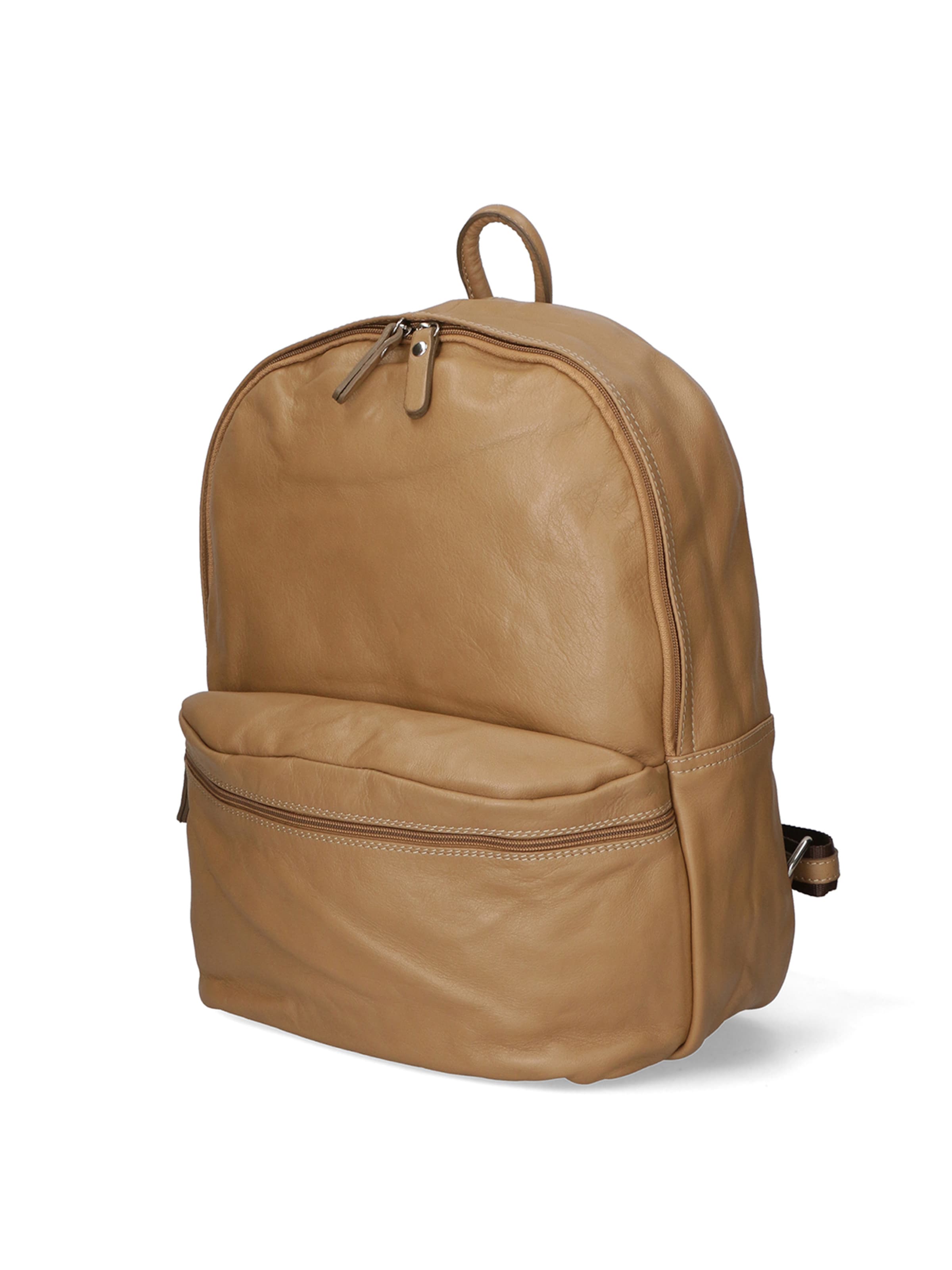 Gave Lux Backpack in Brown: front