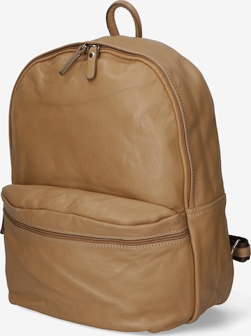 Gave Lux Backpack in Brown: front
