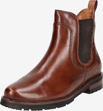 Chelsea Boots Everybody en marron : devant