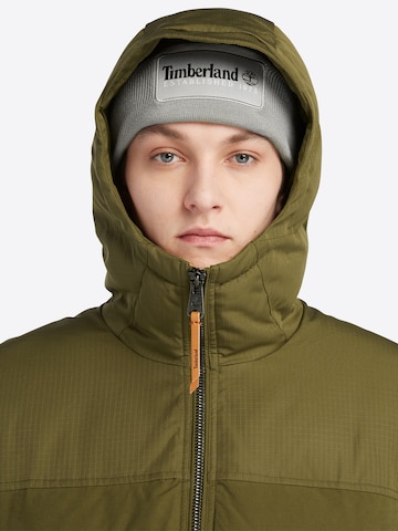 TIMBERLAND Зимняя куртка в Зеленый