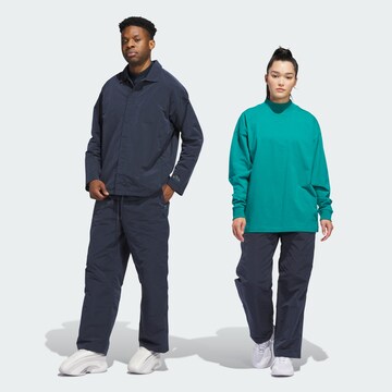 ADIDAS PERFORMANCE Regular Sports trousers in Blue: front