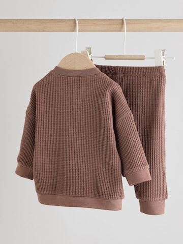 Next Set in Brown