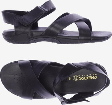 GEOX Sandals & Slippers in 45 in Black: front