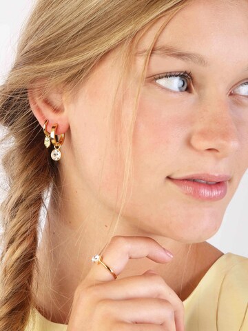 Boucles d'oreilles Lucardi en or : devant