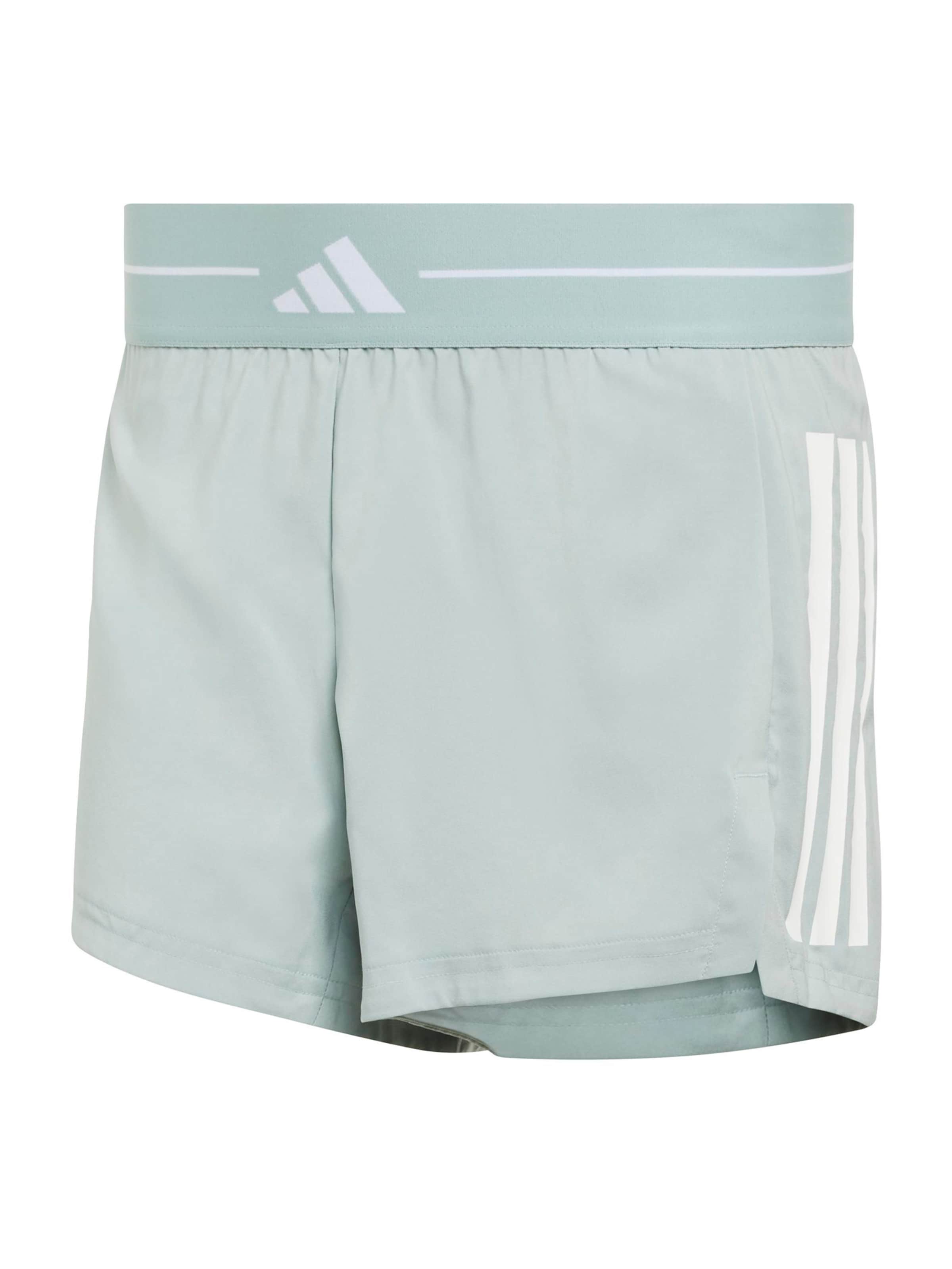 ADIDAS PERFORMANCE Regular Sports trousers 'HYG' in Green: front