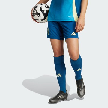 ADIDAS PERFORMANCE Regular Sports trousers 'Sweden 25' in Blue