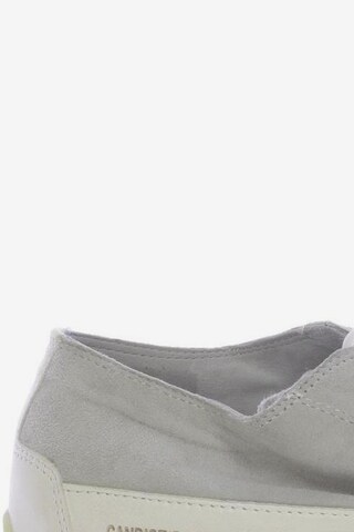 Candice Cooper Sneakers & Trainers in 39 in Grey