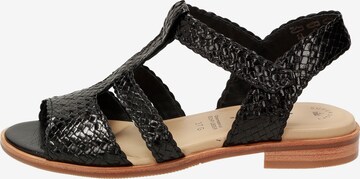 SIOUX Sandals ' Cosinda-702 ' in Black