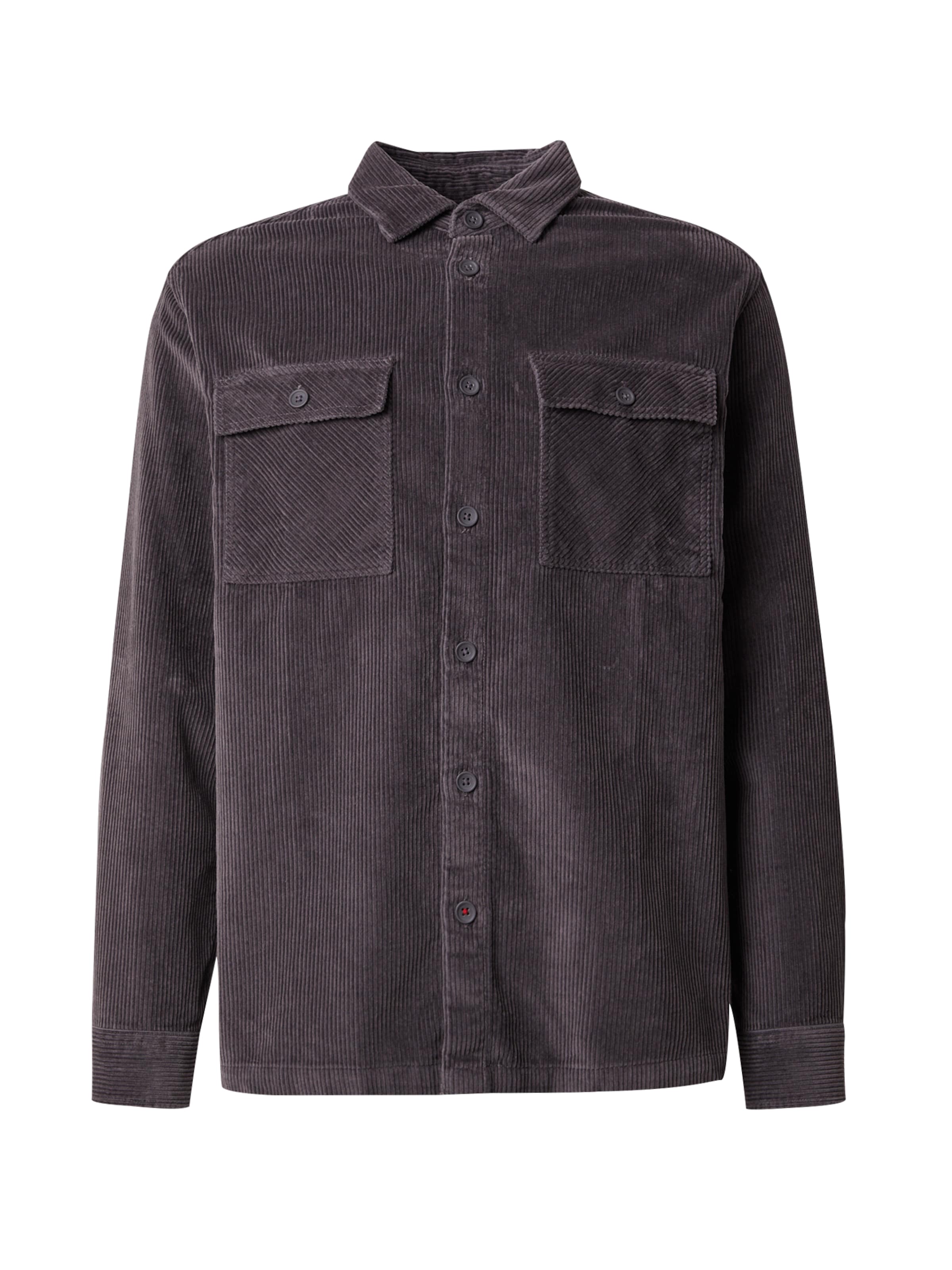 Fit confort Chemise &#x27;RDDBRADY&#x27; R.D.D. ROYAL DENIM DIVISION en gris : devant