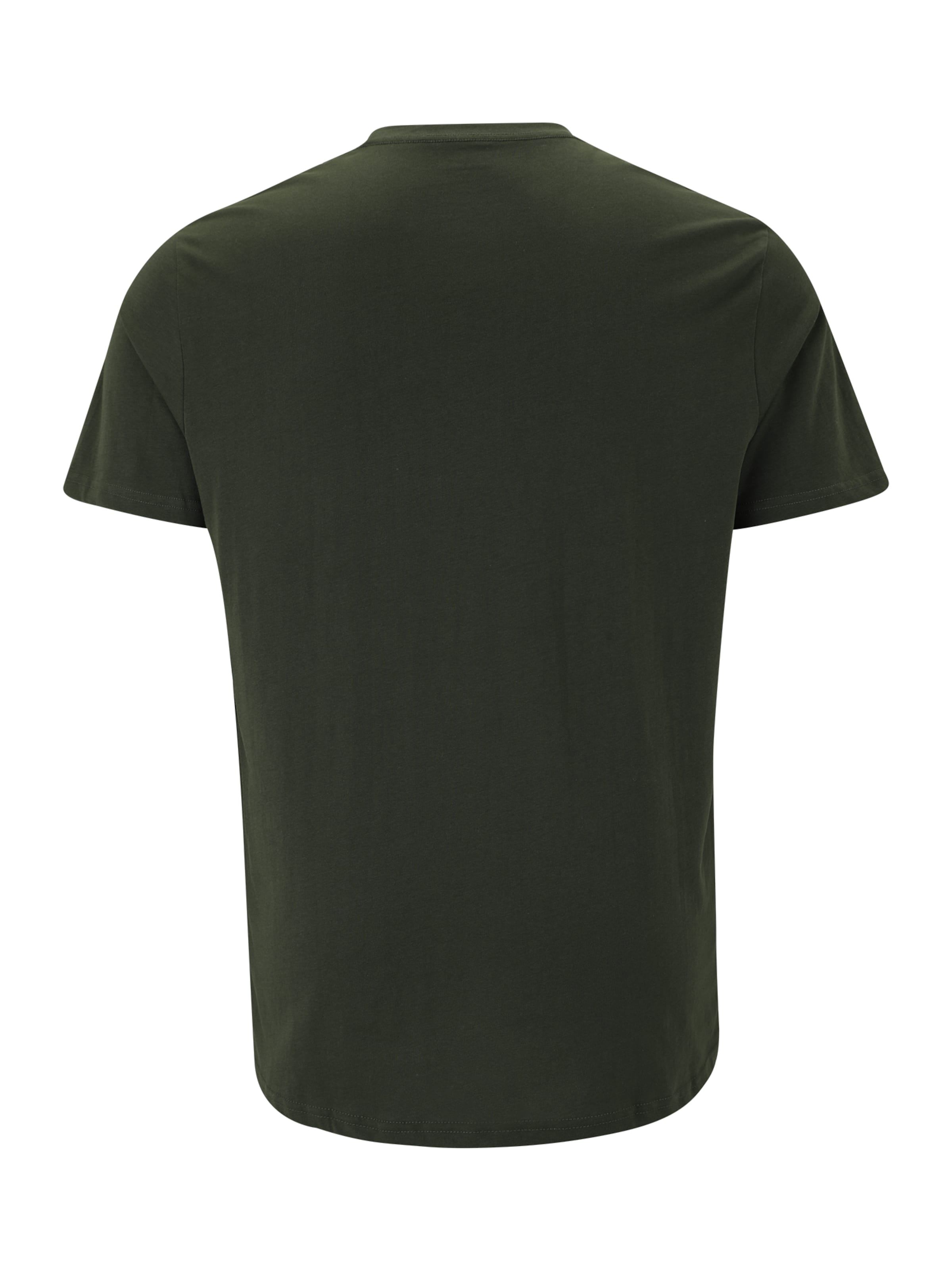 Jack & Jones Plus Футболка 'JJESOHO' в Зеленый