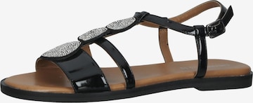 GEOX Strap Sandals in Black: front