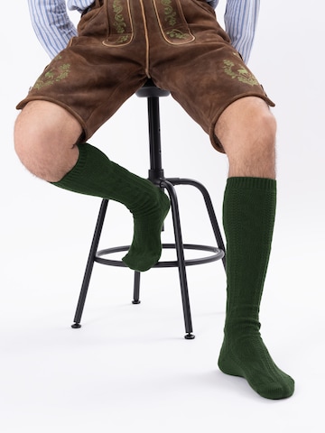 HerzSticht Trachtensocken 'Bergdistel' in Grün
