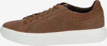 GEOX Sneakers laag in Bruin