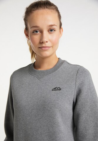 ICEBOUND Sweatshirt i grå