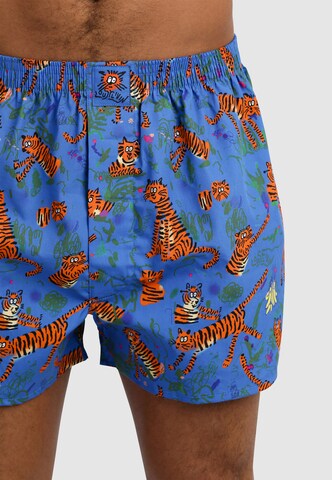Lousy Livin Boxer shorts in Blue