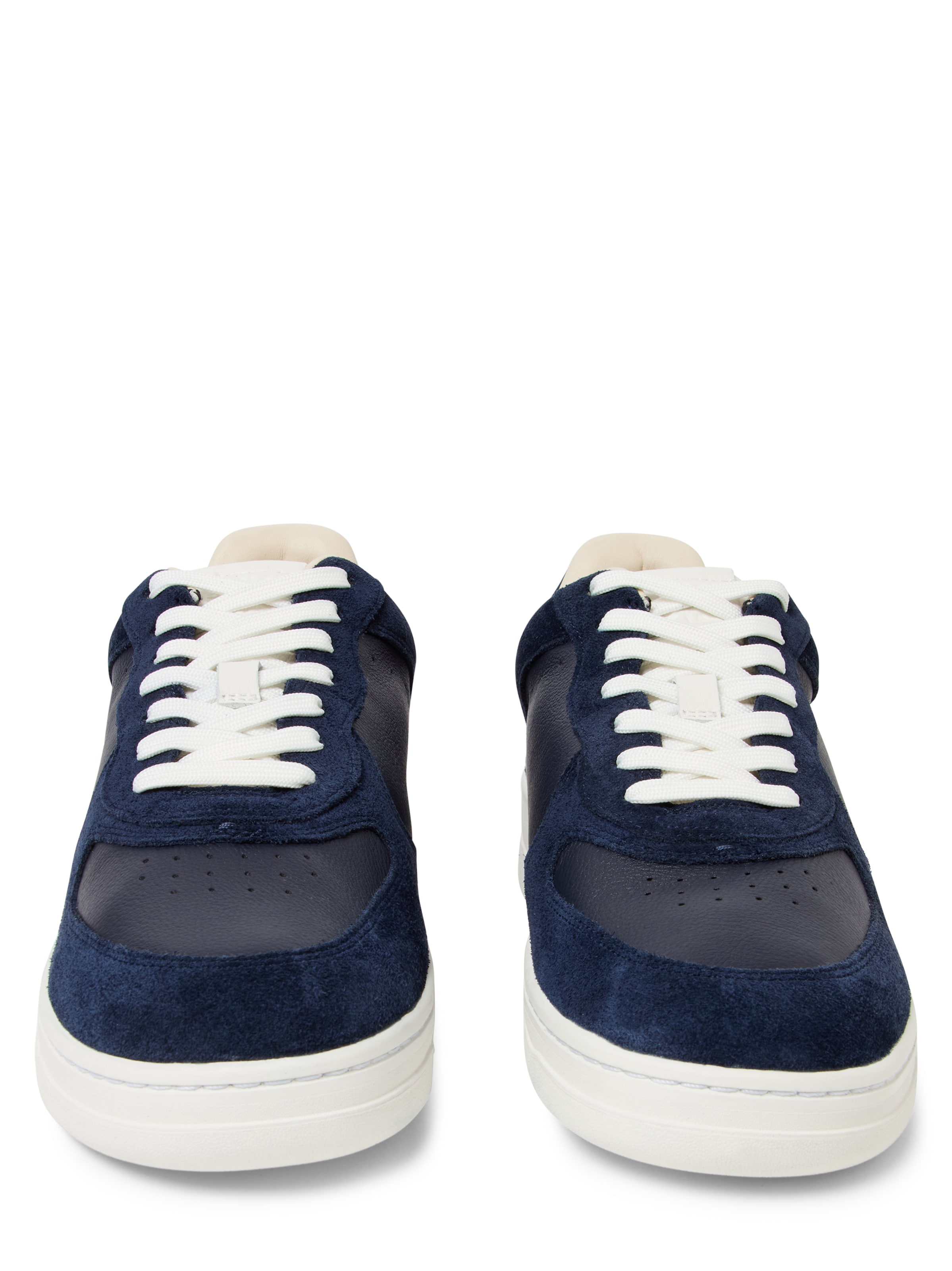 Baskets basses Polo Ralph Lauren en bleu : devant
