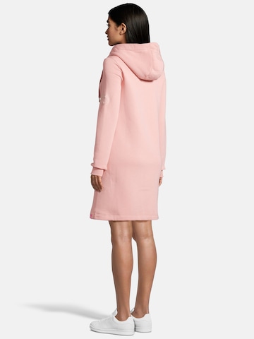 salzhaut Jurk in Roze