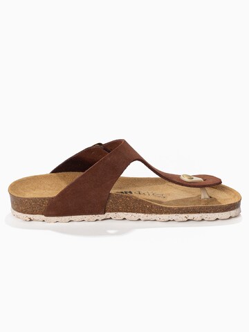 Bayton Šľapky 'MERCURE' - Hnedá