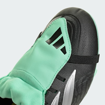 ADIDAS PERFORMANCEKopačke 'Predator Club' - crna boja