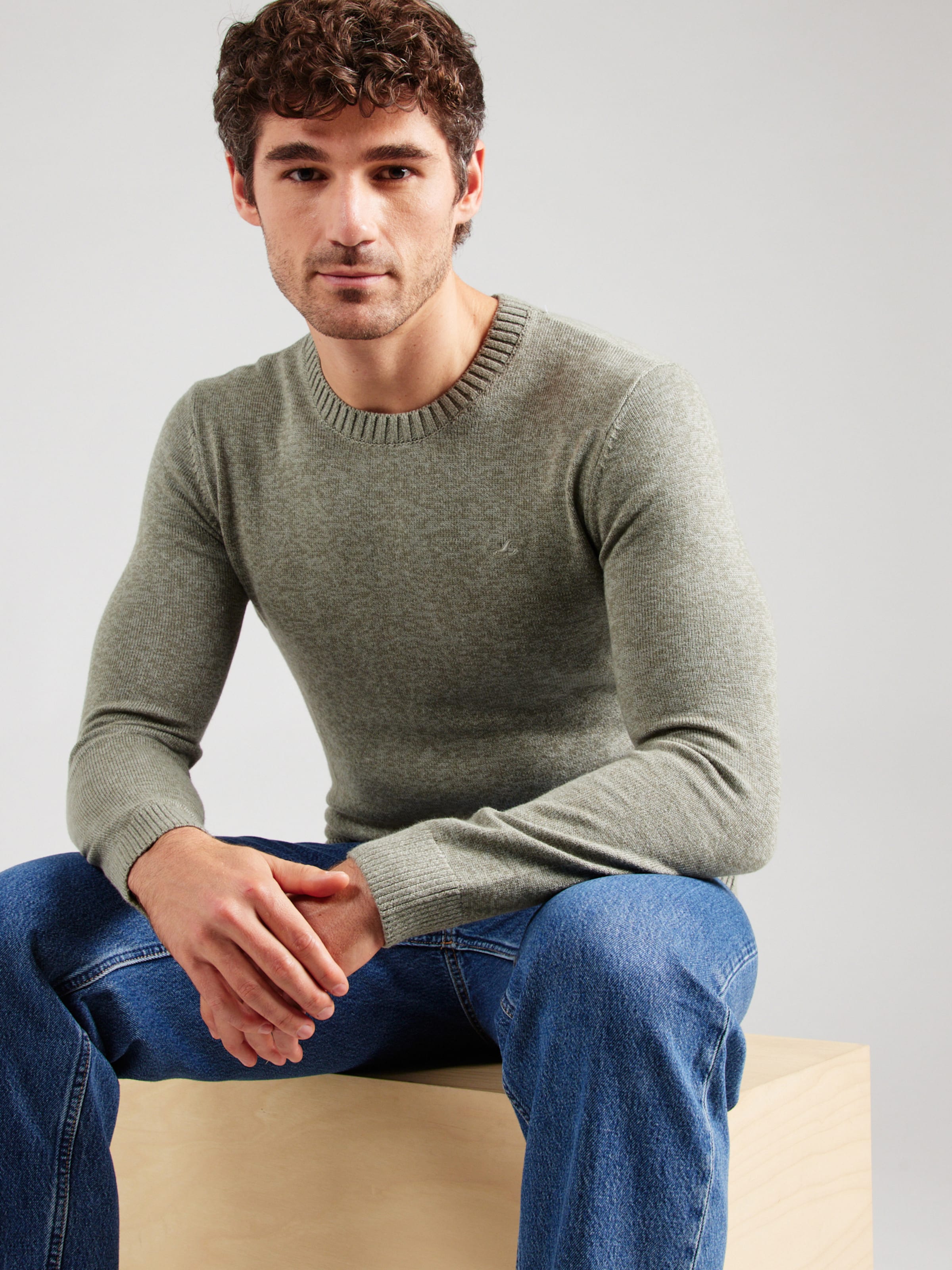 HOLLISTER Jumpers cardigans for men Buy online ABOUT YOU