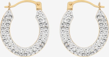 FIRETTI Earrings in Gold: front