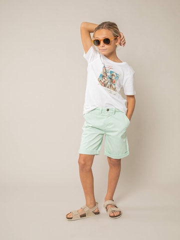 Regular Pantalon 'VARTY' Deeluxe en vert