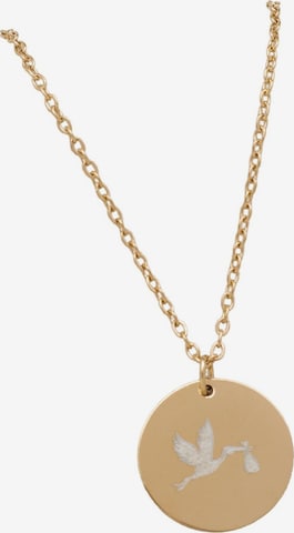 LUUK LIFESTYLE Necklace in Gold: front