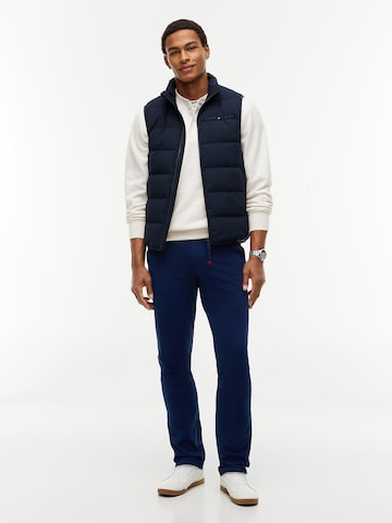 TOMMY HILFIGER Regular Hose in Blau