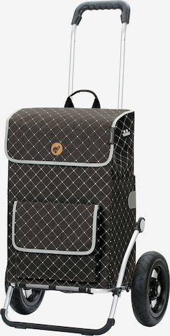 Andersen Shopper Trolley 'Tamo' in Grijs: voorkant