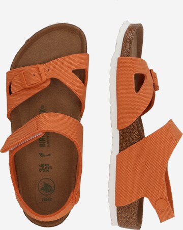 BIRKENSTOCK Odprti čevlji 'Colorado Papaya' | oranžna barva