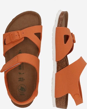Pantofi deschiși 'Colorado Papaya' de la BIRKENSTOCK pe portocaliu